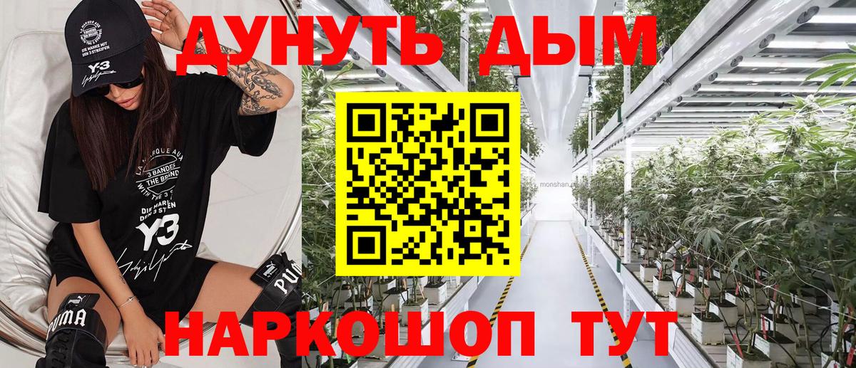 Канабис план Усть-Джегута